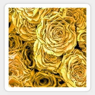 Yellow Roses Sticker